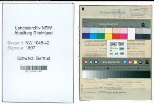 Entnazifizierung Gertrud Schwarz , geb. 09.02.1900 (Verwaltungsangestellte)