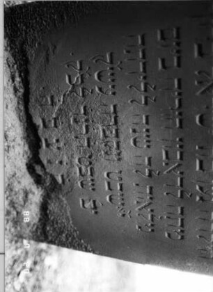 Grabstein 342 (Index: 100094676) Material: Sandstein Zustand: unten weggebrochen mit Textverlust Maße HxBxT: 82x51x9 cm Beschreibung: Stele, eingezogener Rundbogenabschluß: Grabstein 342B