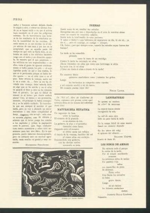 Laboratorio