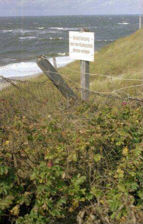 Westerland: Schild in den Dünen, Halmpflanzung, Dünen Befestigungen