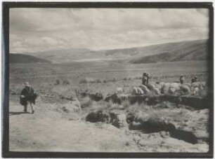 Punalandschaft in der Cadena de El Curi zwischen Cochabamba und Mizque