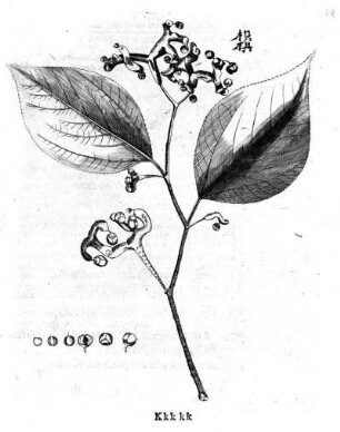 68