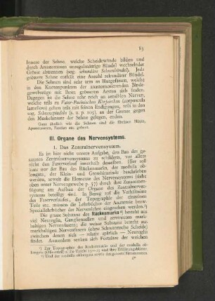 1. Das Zentralnervensystem.
