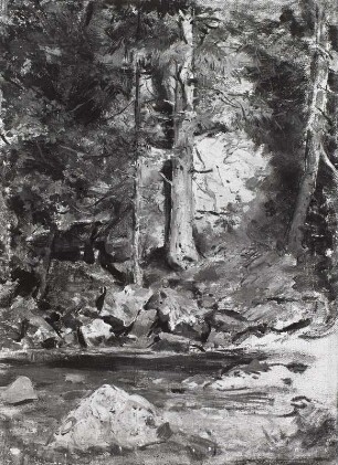 Waldlandschaft