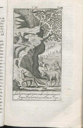 Letho ut mergat ovem nulli vulpecula parcit Ingenio, at latitat vis inimica lupi.