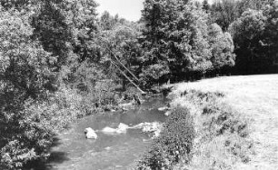 Löbau-Oppeln. Löbauer Wasser unterhalb der ehem. Mühle