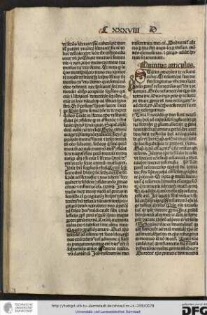 Quintus articulus.