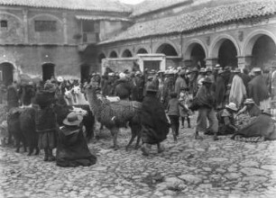 Markt von Potosi : Bewohner des Hochlands und Lamas auf dem Markt von Potosi.