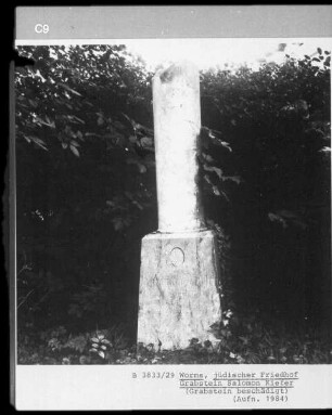 Grabstein von Salomon Kiefer