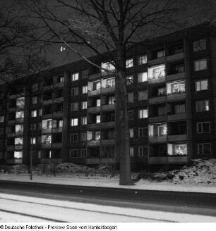 Stübelallee (Nachtaufnahme)