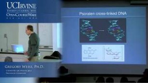 Lecture 07. DNA, RNA, and Cancer.