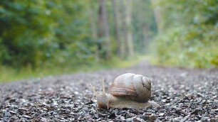 Slow - Langsam ist das neue Schnell