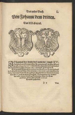 Von Johanne dem dritten. Das XII. Capitel.