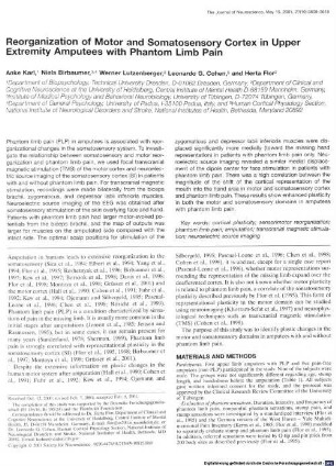 Reorganization of motor and somatosensory cortex in upper extremity amputees with phantom limb pain