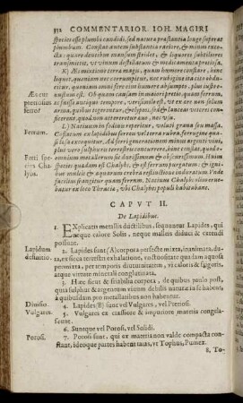 Caput II. De Lapidibus