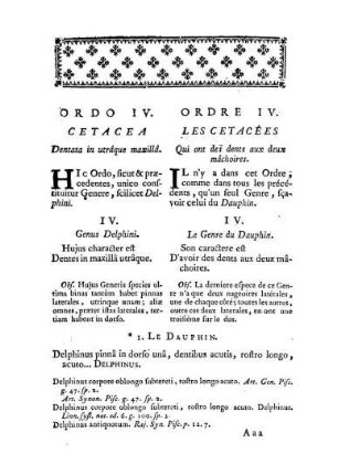 Ordo IV. Cetacea dentata in utrâque maxillâ. - Ordre IV. Les Cetacées qui ont des dents aux deux mâchoires