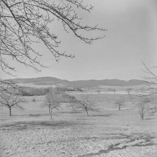 Mönchswalder Berg und Hainitz : Hainitz. Blick zum Mönchswalder Berg