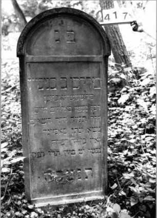 Grabstein 417 (Index: 99803675) Material: Sandstein Zustand: gut Maße HxBxT: 142x58x10 cm Beschreibung: Stele mit verdachtem Rundbogen, profilierter Rand und Giebelfeld Besonderheit: Endreim: Grabstein 417