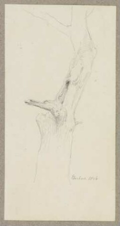 Abgestorbener Baum bei Eberbach