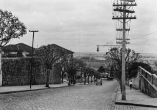Straßenansicht : Eine gepflasterte Straße mit einer Baumallee auf den Bürgersteigen, Strommasten und Wohnhäusern.