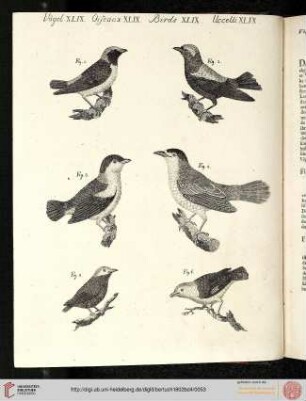 B.IV. No. 11 - B.III. No. 20