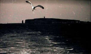 Helgoland: Abfahrt, Insel und Möwen im Kielwasser