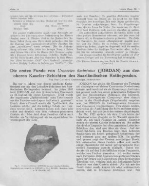 Die ersten Funde von Uronectes fimbriatus (Jordan) aus den oberen Kuseler-Schichten des Saarländischen Rotliegenden.
