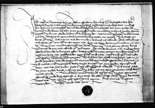Wolf von Dachenhausen reversiert dem Grafen Eberhard d. Ä. für seine Bestallung als Kammermeister, Rat und Diener mit 80 fl. Dienstgeld.