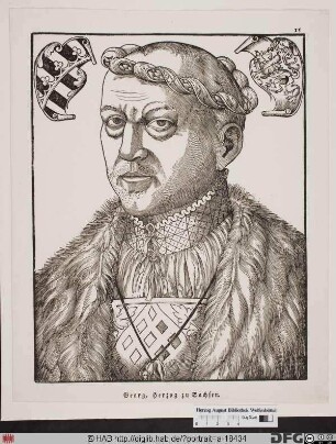 Bildnis Georg der Reiche od. der Bärtige, Herzog zu Sachsen (reg. 1500-1539)