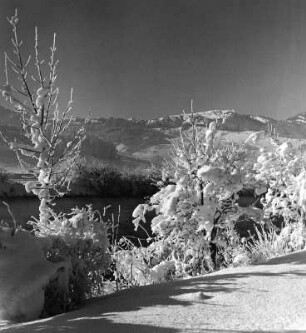 Winterbilder. Winterlandschaft (vielleicht vom Illerdamm gesehen)