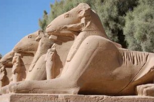 Luxor - Im Karnak Tempel : Die heiligen Widder, Allee der widderköpfigen Sphingen mit kleinen Statuen des Pharaos zwischen den Tatzen am Eingang zum Amun-Tempel von Karnak bei Luxor, aufgenommen 2006
