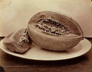 Melone aufgeschnitten