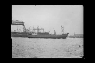 Bernd Wesch (1951), Frachtschiff, Reederei Jonny Wesch, Hamburg, Bau-Nr. 182