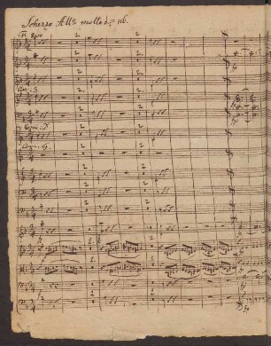 Scherzo. Allegro molto