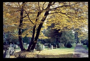 Ohlsdorfer Friedhof 12.10.63.