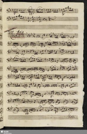 700. Aria: Se hò da vivere infelice / Radicchi, G.