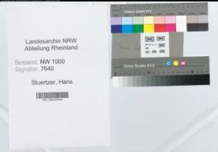 Entnazifizierung Hans Stuertzer, geb. 28.10.1898 (Landessekretaer)