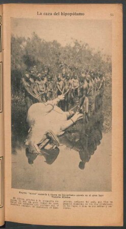 La caza del hipopótamo - [Fotografía]