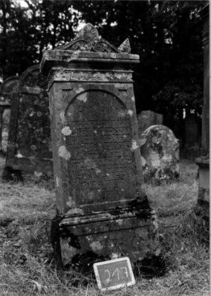 Grabstein 217 [Nir S. 146 Nr. 14.19]