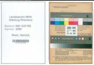 Entnazifizierung Heinrich Reich , geb. 07.02.1903 (Reg.Direktor)