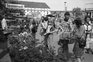 10. Karlsruher Geranienmarkt des Verbands badischer Gartenbaubetriebe auf dem Festplatz