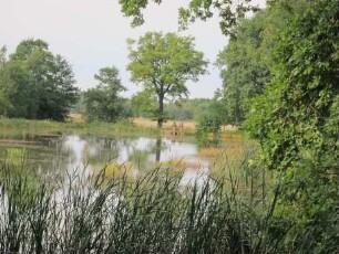 Fürstlich Drehna, Luckau, Siedlerhof 1