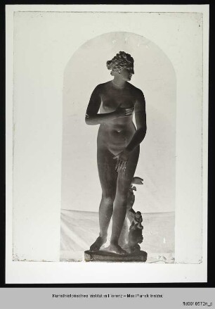 Gipsabguss der Venus Medici