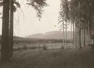 Erzgebirge. Auersberg