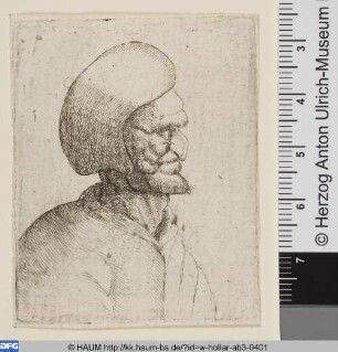 Männliches Zerrbild
