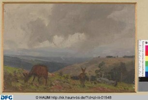 Studie, Wolken