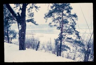 An der Havel 19.2.56.