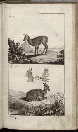 Fig. 14. - Fig. 15