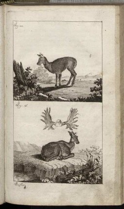 Fig. 14. - Fig. 15