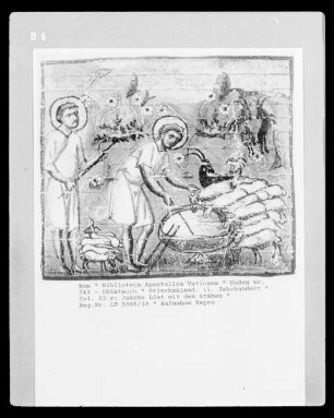 Codex Gr. 747 - Oktateuch — Jakobs List mit den Stäben, Folio fol. 53 r